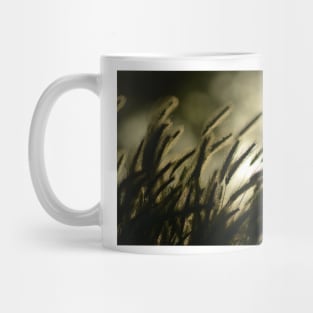 Dusk Mug